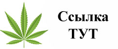 Купить наркотики в Усть-Лабинске