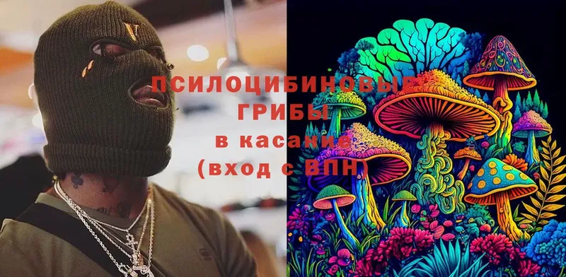 Псилоцибиновые грибы MAGIC MUSHROOMS  KRAKEN сайт  Усть-Лабинск 